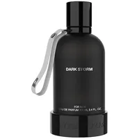 Pegador Dark Storm Parfum 100 ml Herren
