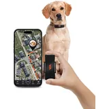 PAJ GPS Tracker für Hunde - 4G - Weglaufalarme + weltweite Live-Ortung - Akkusparmodus in Routernähe - Hunderückruf - mit Leucht-LEDs - Wasserdicht (IP67) - passt an jedes Halsband - schwarz