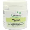 Yams Wurzel