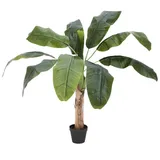 Europalms Bananenbaum, 100cm