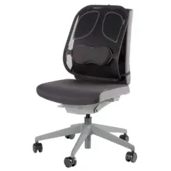 FELLOWES Rückenstütze Professional Netz schwarz 8029901