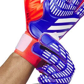 adidas Predator Training Torwarthandschuhe Lucid Blue / Solar Red / White 10 1/2