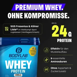 Bodylab24 Whey Protein Erdbeer Pulver 1000 g