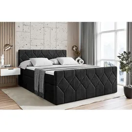 altdecor Cator-Z King 160 x 200 cm H3 Schwarz