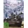 Girls und Panzer - Das Finale: Teil 1 (Limited Edition) (Blu-ray)