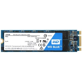 Western Digital Blue M.2 2280 250GB (WDS250G1B0B)