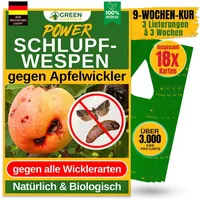 Green guardia – natürliche lösungen gegen apfelwicklerbefall Green Guardia