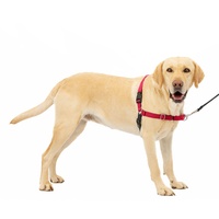 PetSafe Easy Walk-Geschirr, Anti-Zieh-Hundegeschirr, Verringert Würgen und Husten, Mit 1,8 M Leine, Größe L, Rot