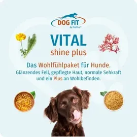 DOG FIT by PreThis DOG FIT Vital Shine Plus 53 g