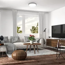 B.K.Licht - LED Deckenlampe mit neutralweißer Lichtfarbe, 12 Watt, 1200 Lumen, LED Deckenleuchte, Lampe, Wohnzimmerlampe, Schlafzimmerlampe, Küchenlampe, Deckenbeleuchtung, 25x5,2 cm, Silberfarbig