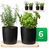 Novaliv Kräuterstation 6er Set 14,50 cm Schwarz