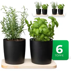 Novaliv Kräuterstation 6er Set 14,50 cm Schwarz