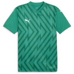 Puma Teamglory Jersey sport green-puma white-power green (05) S