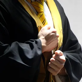 HEO GMBH Harry Potter Zauberergewand Hufflepuff Herren M