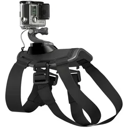 GoPro Fetch Dog Harness