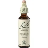 Nelsons Gmbh Bachblüten Mustard Tropfen