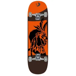Best Sporting Skateboard Arts, Indian