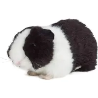 Living Nature Meerschweinchen schwarz 18cm ohne Sound Plüschtier Kuscheltier