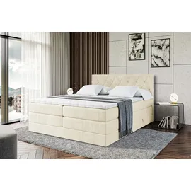 altdecor Boxspringbett mit Matratze Topper, Polsterbett mit Bettkasten AMAY-BZ KING | Beige Monolith | 140x200