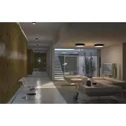 Immax NEO 07023L-15BD LED-Deckenleuchte 2x12w | 840lm | 2700-6500K - 2 Stück Set, Fernbedienung, Temperaturbeleuchtung einstellen, dimmbar, schwarz