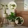 Botanic-Haus Emerald Kunstpflanze Bonsai Ficus Grün 47 cm 420006