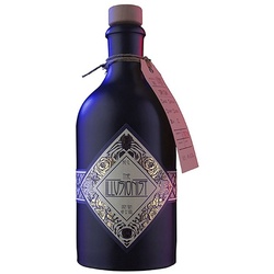 The Illusionist Dry Gin BIO 45% 0,5l