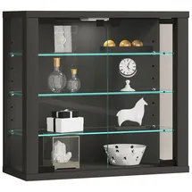 VCM Hängevitrine Vitrosa 43 x 40 x 18 cm Anthrazit
