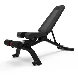 Bowflex Hantelbank 4.1S