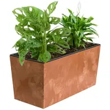 Blumenkübel Blumentopf Rattan Trapez Terrakotta Beton Struktur H 19,5 cm 12 L