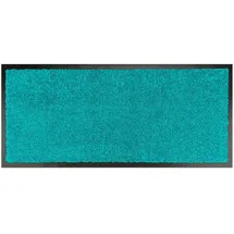 WohnDirect Fußmatten für Innen & Außen TÜRMATTE 1 in Petrol 58x180 cm