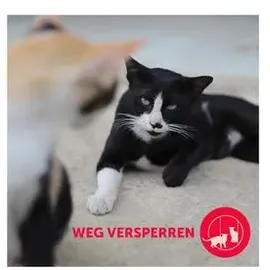 woko tierbedarf gmbh Feliway Friends Start-Set