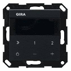 Gira Unterputz-Radio IP (schwarz, matt)