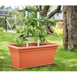 Gusta Garden CHILI BUDDY Rankhilfe 3er Set