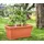 Gusta Garden CHILI BUDDY Rankhilfe 3er Set