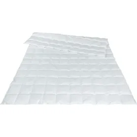 Traumina Exclusive Body Daune Einziehdecke WK 1 (Größe: 155x200 cm*)