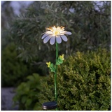STAR TRADING LED-Solarleuchte Daisy in Gänseblümchenform