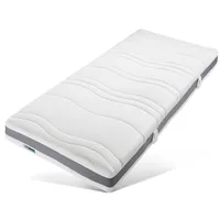 fan ProVita First Class T 100 x 200 cm H2 Polyester Bezug