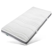 fan ProVita First Class T 100 x 200 cm H2 Polyester Bezug