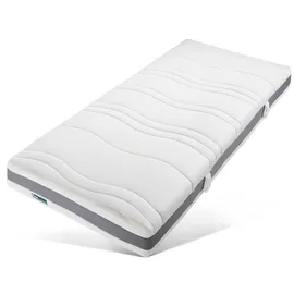 fan ProVita First Class T 100 x 200 cm H2 Polyester Bezug