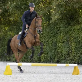Waldhausen Cavaletti-Block Einheitsgröße Gelb