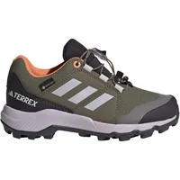 Adidas Terrex GORE-TEX  Olive Strata / Silver Dawn /