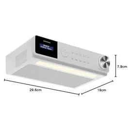Grundig DKR 1000 BT DAB+ weiß