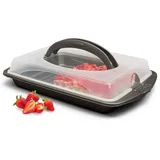Hausfelder Kuchentransportbox Tortentransportbox eckig, Kuchenbehälter mit Deckel (Blechkuchen), Kunststoff, (Set, 2-tlg., 1 Box), Transportboxen mit Deckel, spülmaschinenfest, BPA-frei