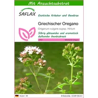 SAFLAX - Kräuter - Griechischer Oregano - 600 Samen