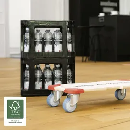 Wagner-System Wagner Möbelroller 59 x 29 cm Traglast 250 kg