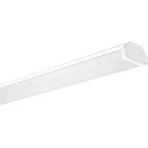 Siteco DUS 31 MO 1er Pack 4000K/8950lm/PMMA