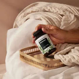 Natural Elements Melatonin Tabletten 365 St.