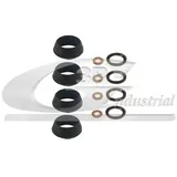 3RG Industrial Dichtungssatz, Einspritzdüse