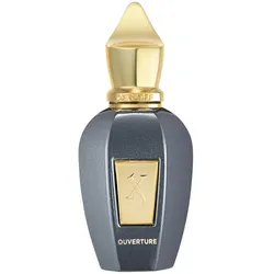 XERJOFF Vibe OUVERTURE Eau de Parfum 50 ml
