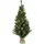 Star Trading Weihnachtsbaum Toppy Grün 90 cm